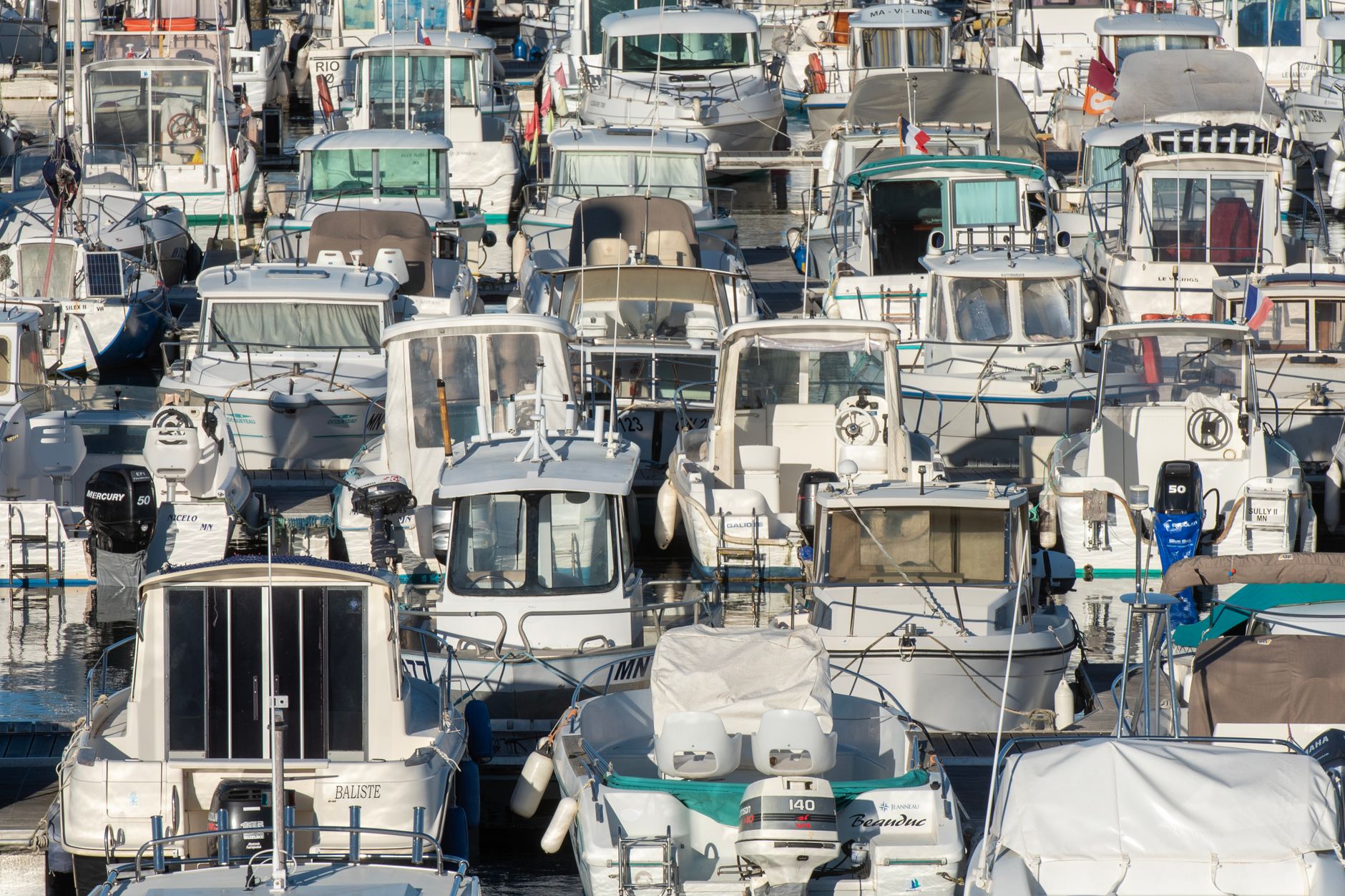 Boats docked at a marina