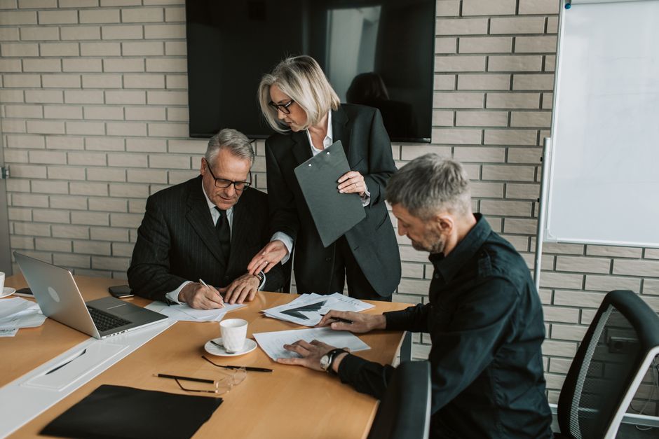 Professionals in a business meeting